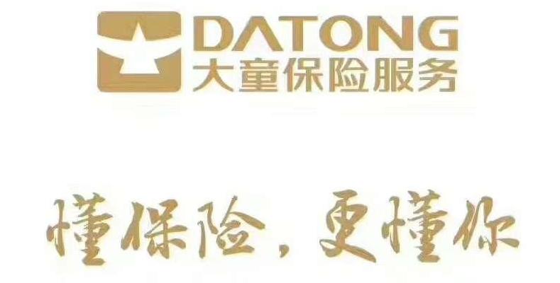 大童保险服务